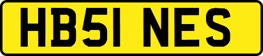 HB51NES