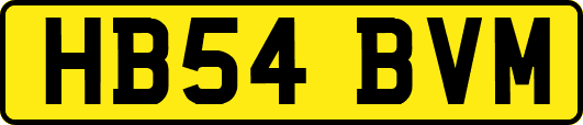 HB54BVM