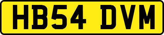 HB54DVM