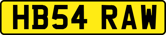 HB54RAW