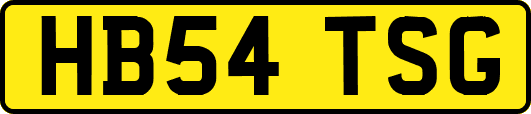 HB54TSG