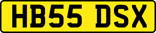HB55DSX