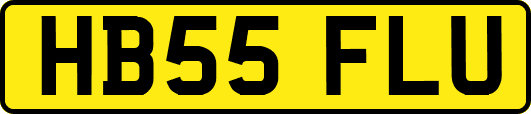 HB55FLU