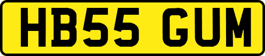 HB55GUM