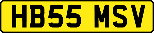 HB55MSV