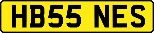 HB55NES