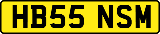 HB55NSM