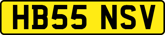 HB55NSV