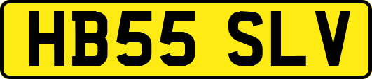 HB55SLV