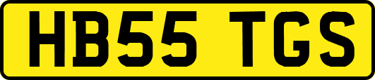 HB55TGS