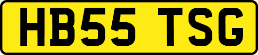 HB55TSG