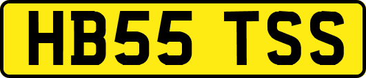 HB55TSS
