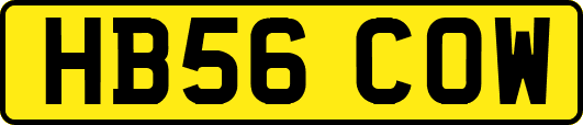 HB56COW