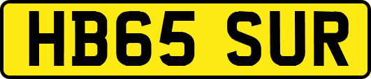 HB65SUR