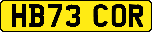 HB73COR