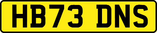 HB73DNS