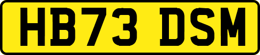 HB73DSM