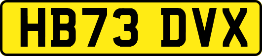 HB73DVX