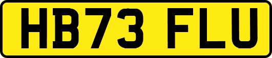 HB73FLU