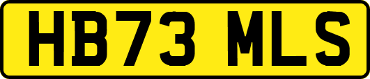 HB73MLS