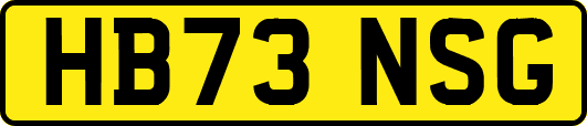 HB73NSG