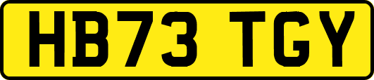 HB73TGY