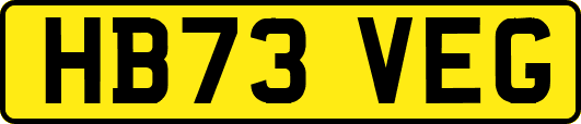 HB73VEG