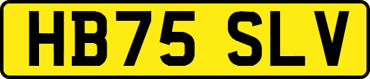 HB75SLV