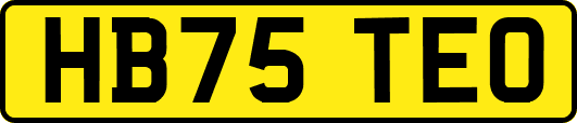 HB75TEO