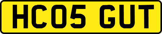 HC05GUT