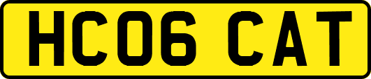 HC06CAT