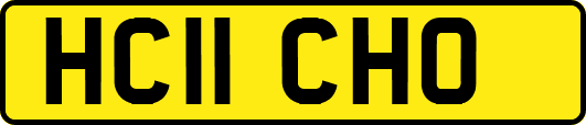 HC11CHO