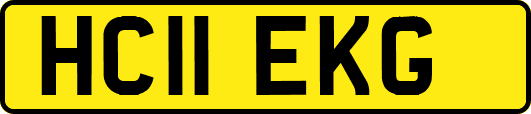 HC11EKG