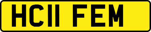 HC11FEM