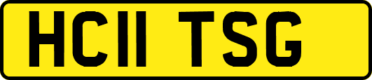 HC11TSG