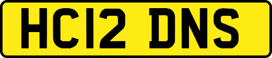 HC12DNS