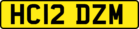 HC12DZM