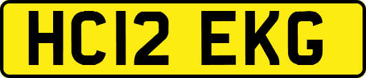 HC12EKG