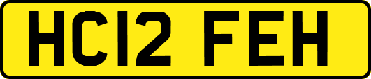 HC12FEH