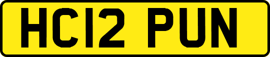 HC12PUN