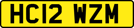HC12WZM
