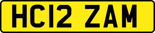 HC12ZAM