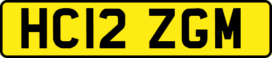 HC12ZGM