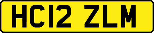 HC12ZLM