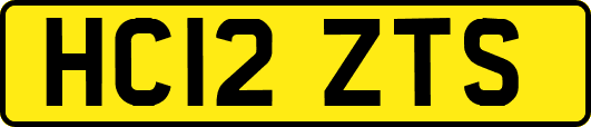 HC12ZTS