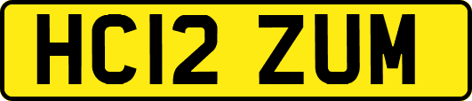 HC12ZUM