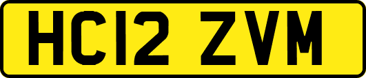HC12ZVM
