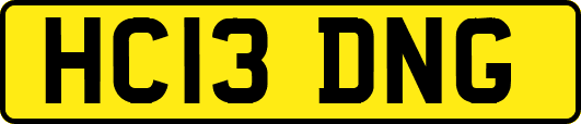 HC13DNG