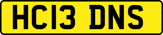 HC13DNS