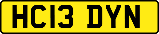 HC13DYN